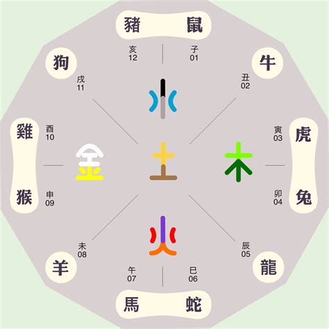 芯字五行|芯字的五行属性是什么